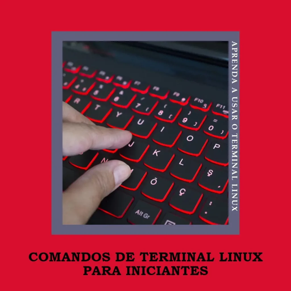 Os Melhores Comandos de Terminal Linux para Usuários Iniciantes