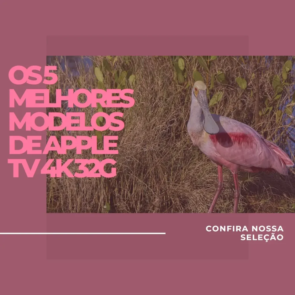 Os 5 Principais Modelos de Apple TV 4k 32g