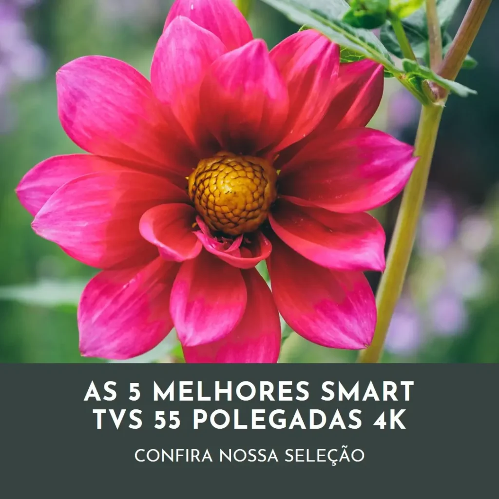 Top Cinco Smart Tv 55 Polegadas 4K