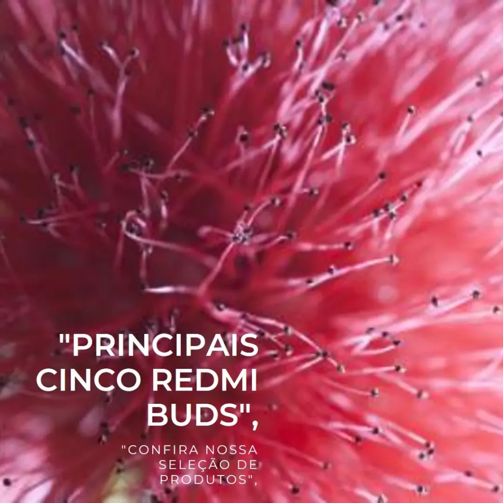 Principais Cinco Redmi bud 6 lite