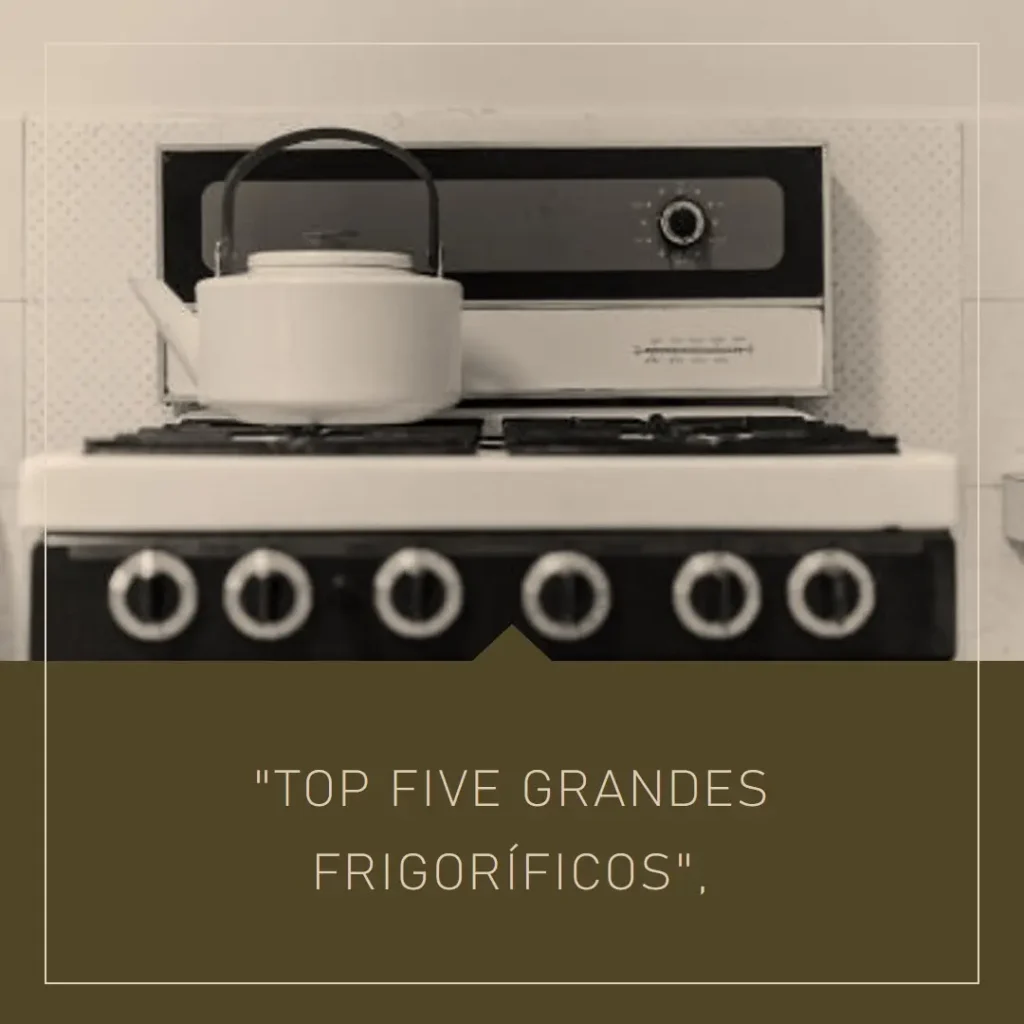 Top Cinco frigobar grande