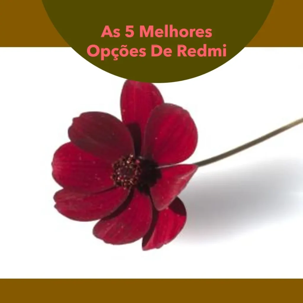 As 5 Melhores Opções de Redmi pad se 8.7 4g