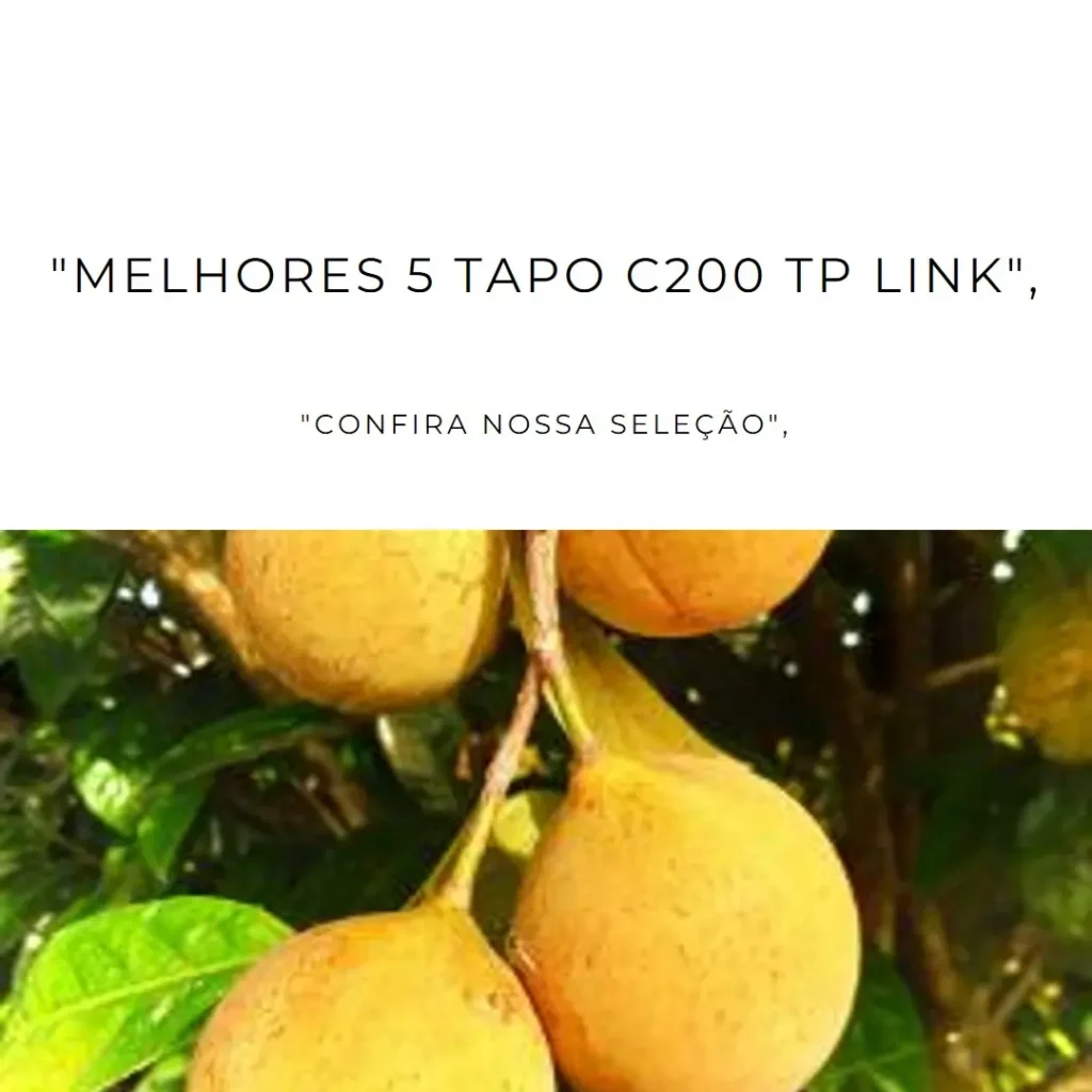 Melhores 5 Tapo c200 TP Link