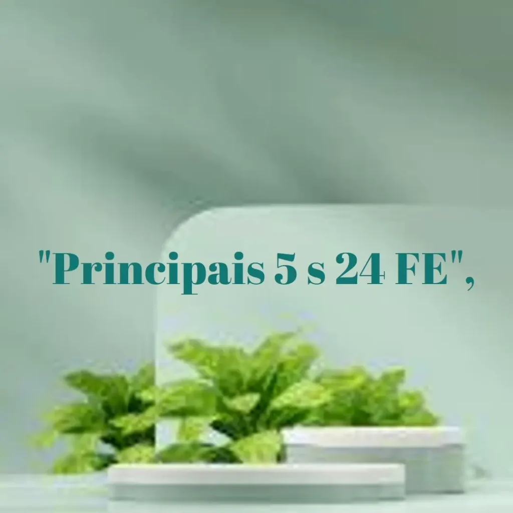 Principais 5 s 24 FE