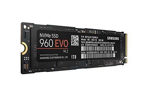 Samsung SSD 960 EVO Series - PCIe NVMe de 1 TB - SSD interno M.2 (MZ-V6E1T0BW