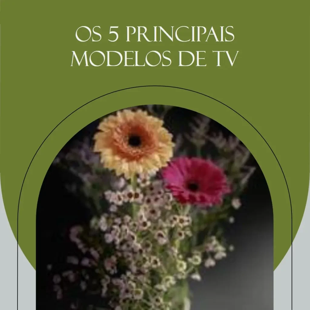 Os 5 Principais Modelos de TV LG OLED EVO c3 42