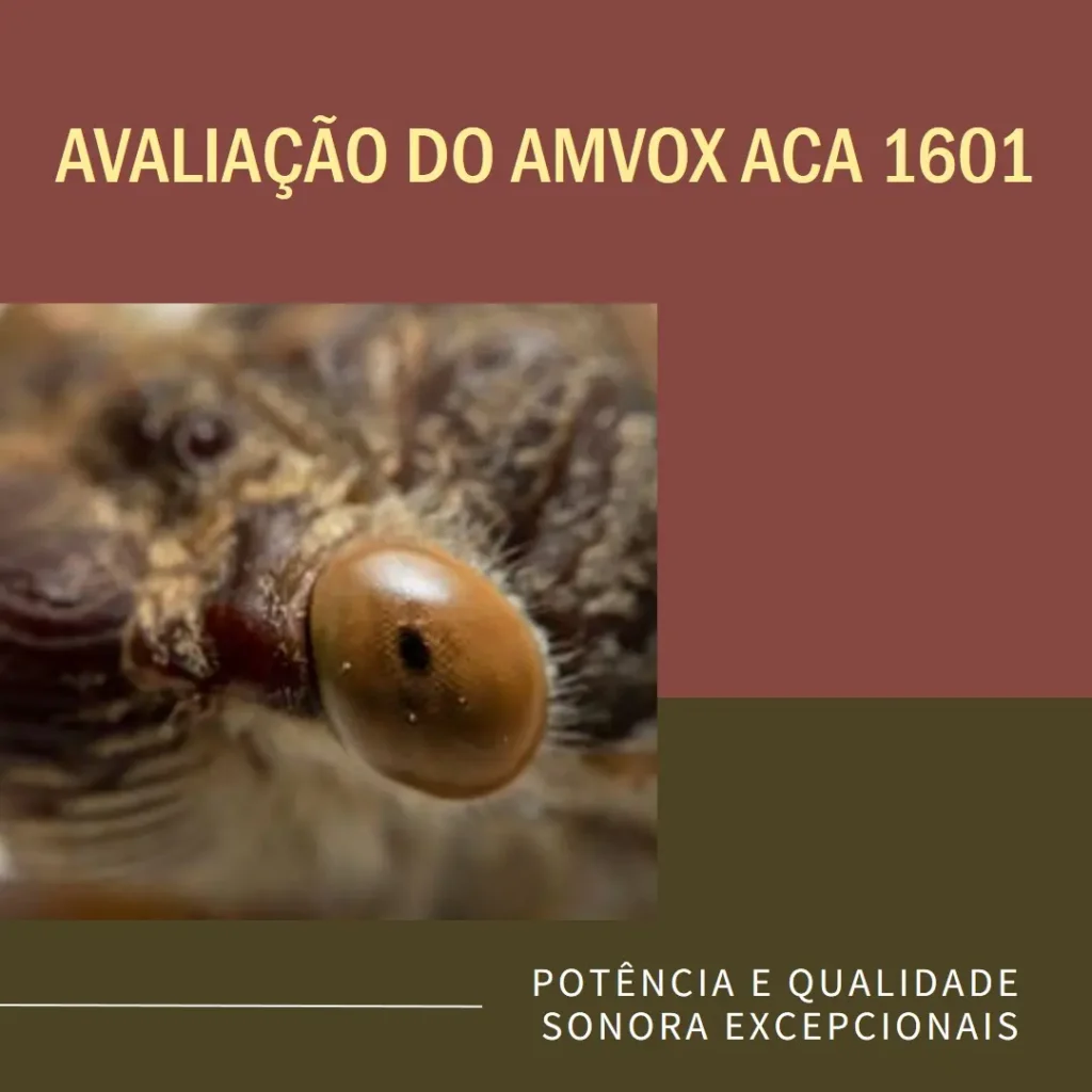 Amvox ACA 1601 Festa II – Potência e Qualidade Sonora