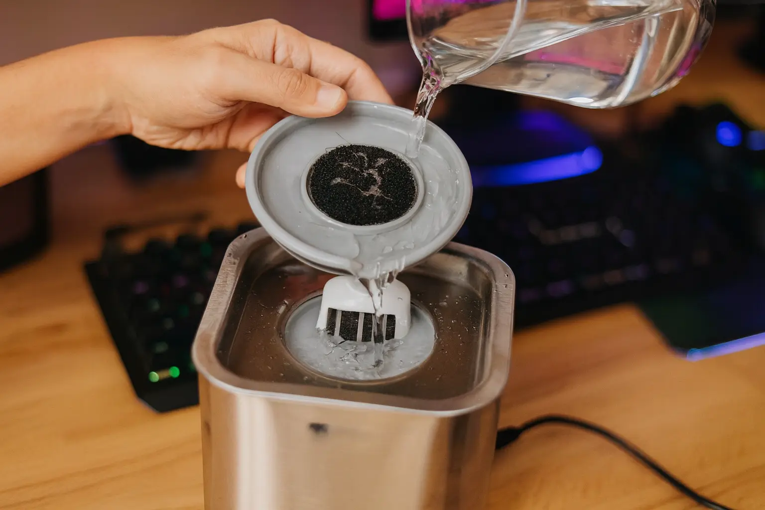 3 fontes de água para pets com filtragem eficiente