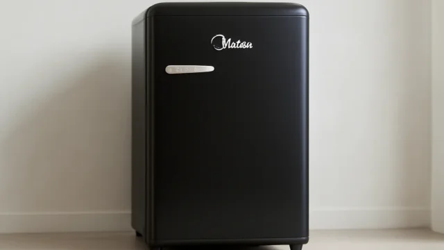 Work from home: 3 Geladeiras e Freezers ideais para produtividade