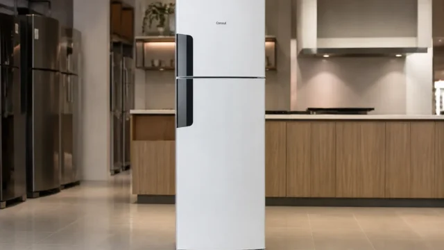 Consul 377L atende quem não precisa subir para 455L